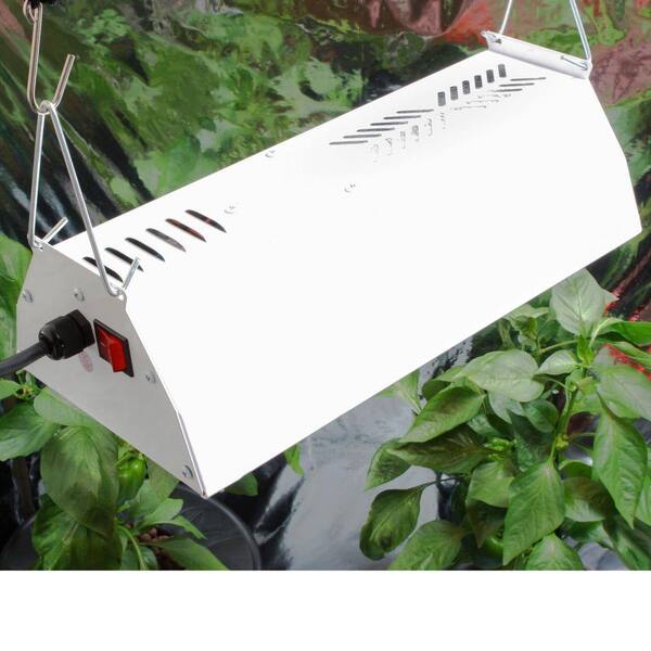 grow light timer home depot