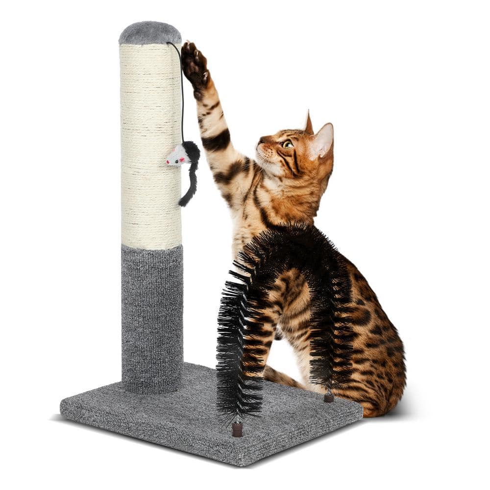 18 in. Cat Scratching Post Pad with Cat Self Groomer,Cat Scratcher with Cat Brush and Activity Dangling Ball price history on PriceWatchPro