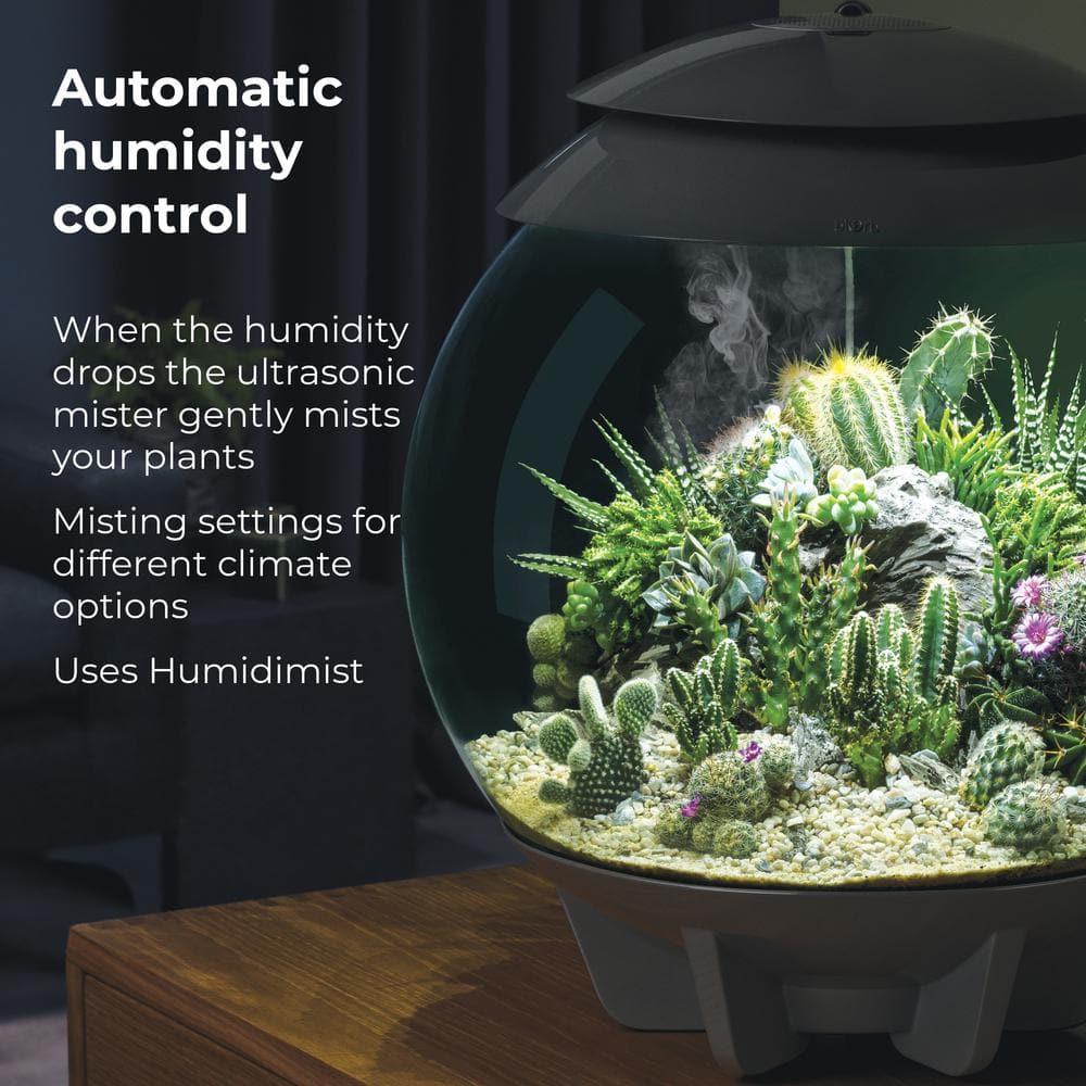 White Acrylic Desktop Terrarium Bowl with Automated Features