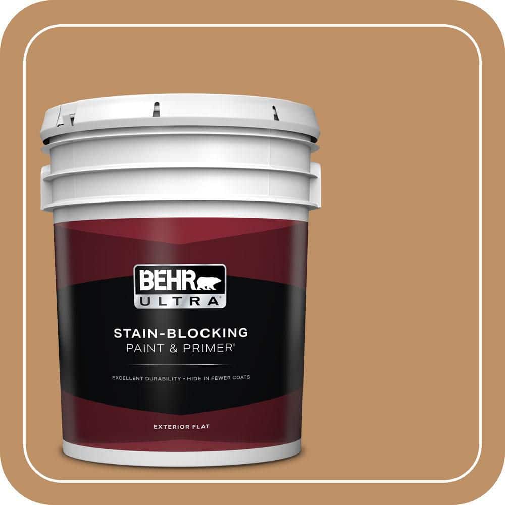 5 gal. Home Decorators Collection #HDC-CL-15 Burnished Caramel Flat Exterior Paint & Primer price history on PriceWatchPro