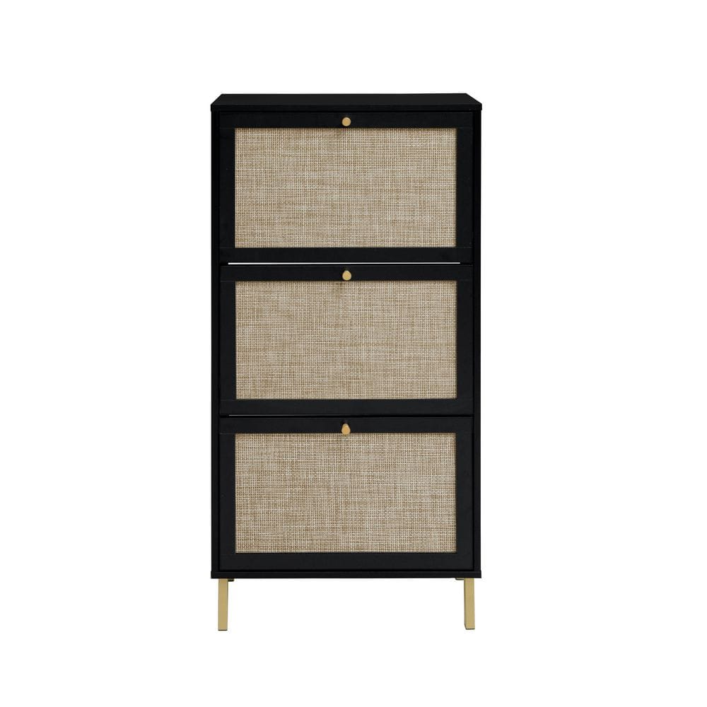 48.98 in. H x 23. 62in. W Black Wood Freestanding Modern Shoe Storage Cabin
