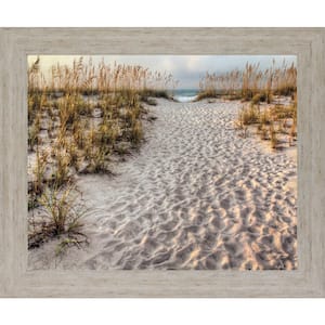 "Path To The Beach" By Michael Cahill Framed Print Home Wall Art 28 in. x 34 in.