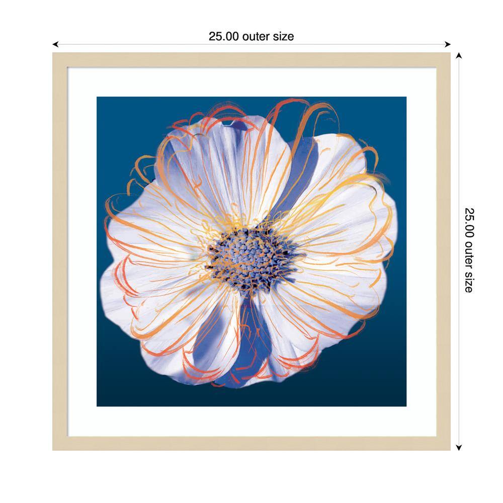 Svelte Natural Framed Flower Pop Pastel II Graphic Art Print