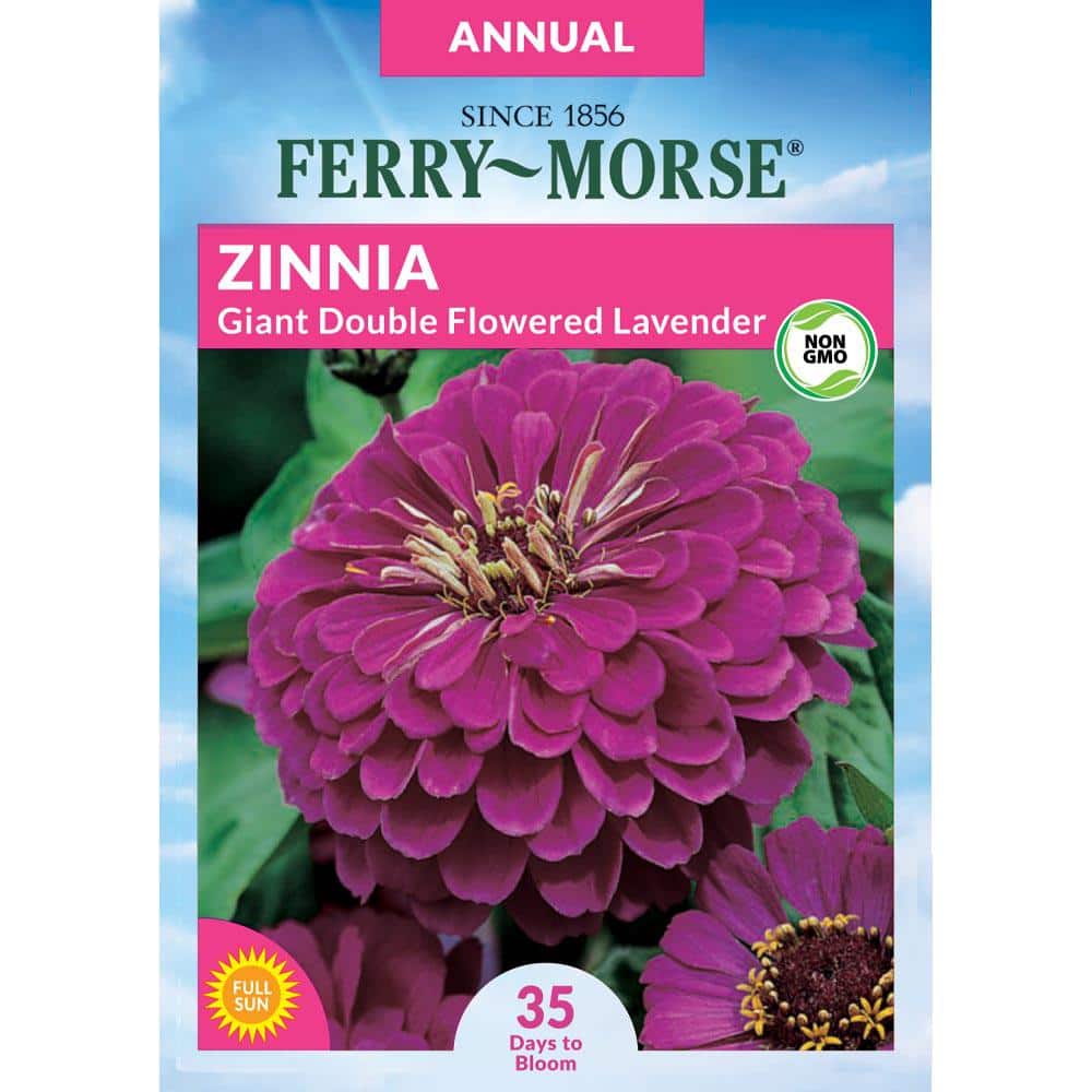 Ferry-Morse Zinnia Lavender Gem Giant Double Flowered Seed 4140
