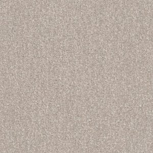Fluffy Expectations - Dusty Taupe - Beige 56.2 oz. Nylon Texture Installed Carpet