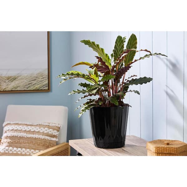 8.4 in. Concord Medium Black Recycled Plastic Planter (8.4 in. D x 8.3 in. H) with Attached Saucer