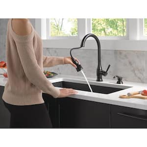 Hazelwood Single-Handle Pull Down Sprayer Kitchen Faucet with ShieldSpray Technology in Matte Black