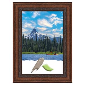 Decorative Bronze Picture Frame Opening Size 24x36 in.