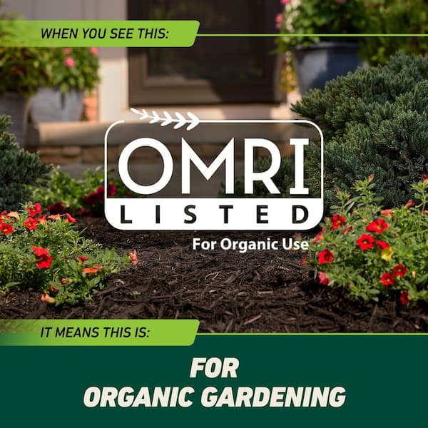 Ortho - GroundClear 32 fl. oz. Weed and Grass Killer2, Concentrate, Weed Killer Quickly Kills Crabgrass, Dandelions, and More