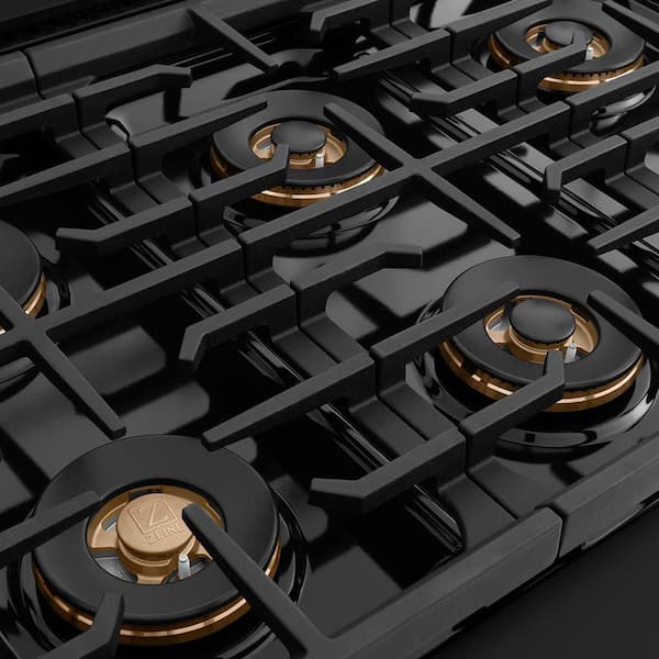 Autograph 48 in. 6.7 cu. ft. Paramount Dual Fuel Range with 8 Burner DuoPro Cooktop in Stainless and Champagne Bronze