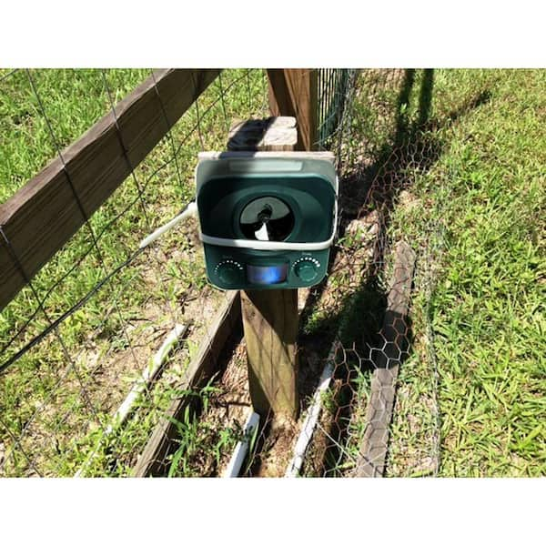 Knock Off Animal Repeller Solar Order directly online!