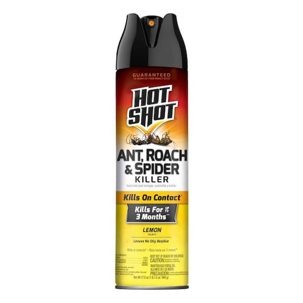 Hot Shot 17.5 oz. Ant, Roach, and Spider Insect Killer Aerosol Spray Lemon Scent