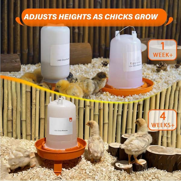 Chicken Waterers And Feeders Automatic Chicken Waterer System, DIY