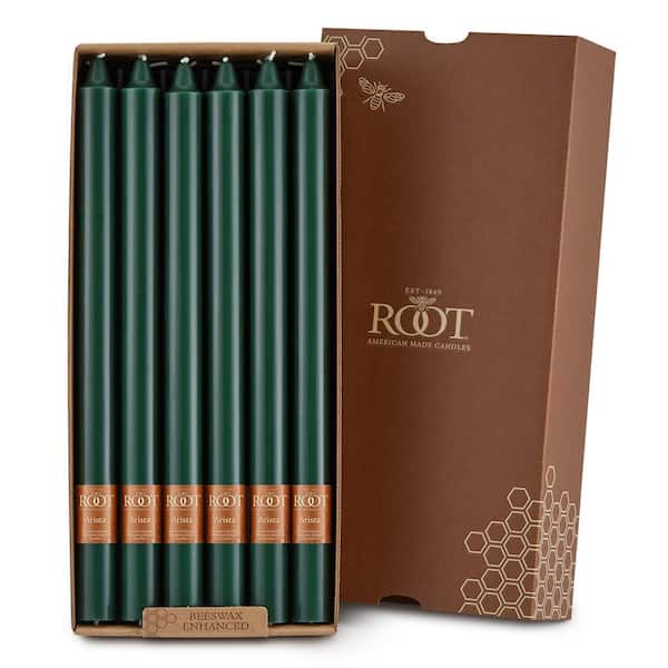 ROOT CANDLES Smooth Arista 12 in. Dark Green Unscented Taper Candle (Set of 12)