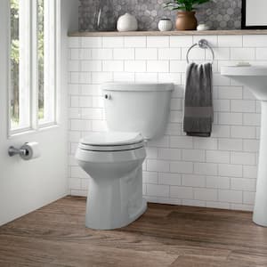 Cachet Quiet-Close Round Front Closed-Front Toilet Seat with Grip-Tight Bumpers in Ice Grey