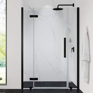 Tampa 48 1/16 in. W x 72 in. H Pivot Frameless Shower Door in Black With Shelves