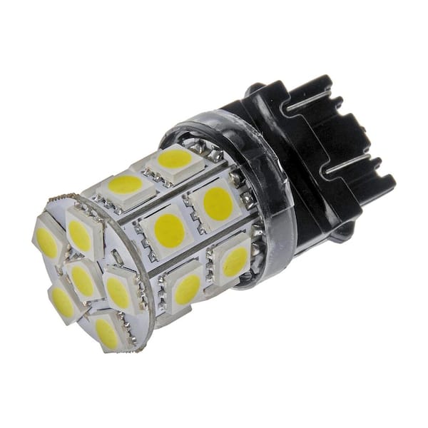 Dorman Tail Light Bulb