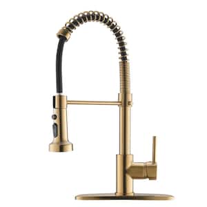 Queen Single-Handle Pre-Rinse Spring Pull Down Sprayer Kitchen Faucet with Deckplate in Polished Gold