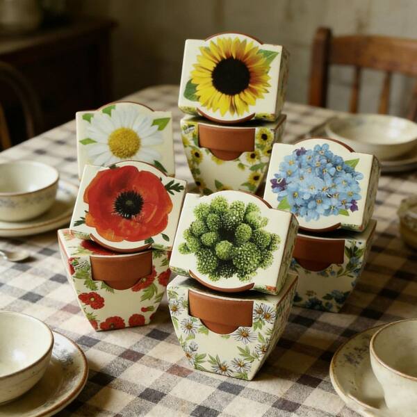 Mixed Seeds Mini Terracotta Flower Seeds (12-Pack) HP7V259BBT