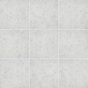 Baja Gray 12 in. x 12 in. Matte Ceramic Floor and Wall Tile (1 sq. ft./Each)