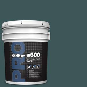 5 gal. #PPU12-01 Abysse Satin Exterior Paint