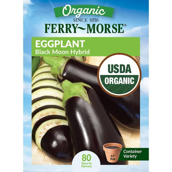 Ferry-Morse Organic Eggplant Black Moon Hybrid Fruit Seeds