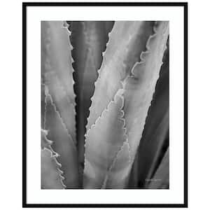 "Abstract Agave I" by Elizabeth Urquhart 1 Piece Wood Framed Black and White Nature Photography Wall Art 41-in. x 33-in.