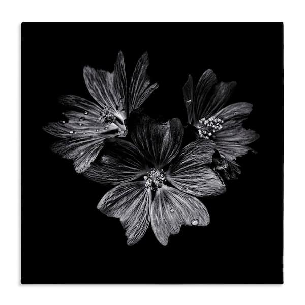Blossom Trio on Black by Brian Carson Unframed Nature Graphic Art Print 36 in. x 36 in.