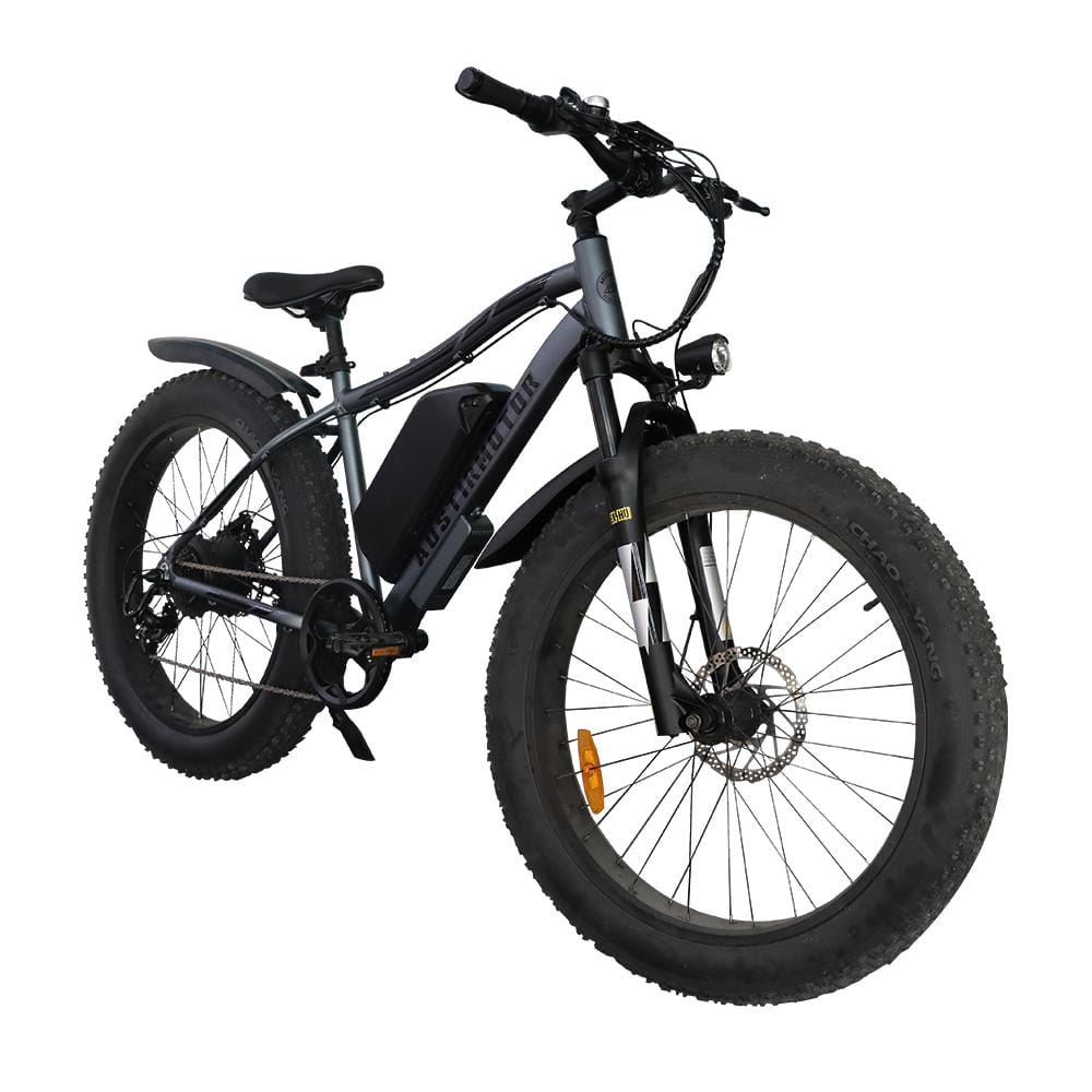 1000W Adults Electric Bike Emovable Lithium Battery