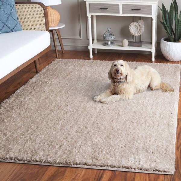SAFAVIEH Lindsay Shag 4 ft. x 6 ft. Beige Modern Solid Area Rug