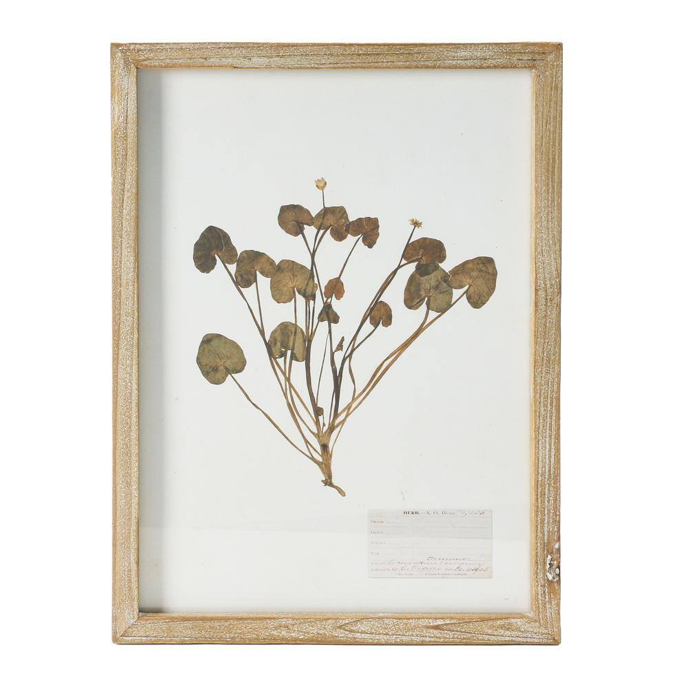 Set of 6 Botanical Prints in Light Brown Wood Frames