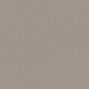Enchanted - Color Pixel  61 oz. Polyester Texture Beige Installed  Carpet