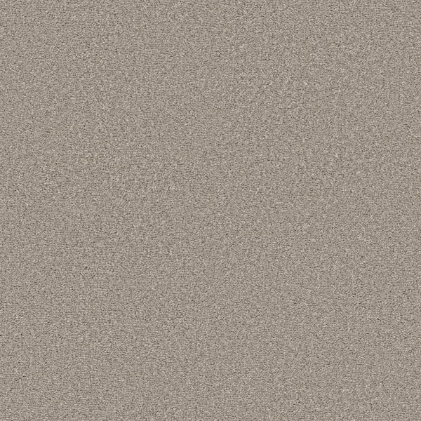 Home Decorators Collection Enchanted - Color Pixel 61 oz. Polyester Texture Beige Installed Carpet
