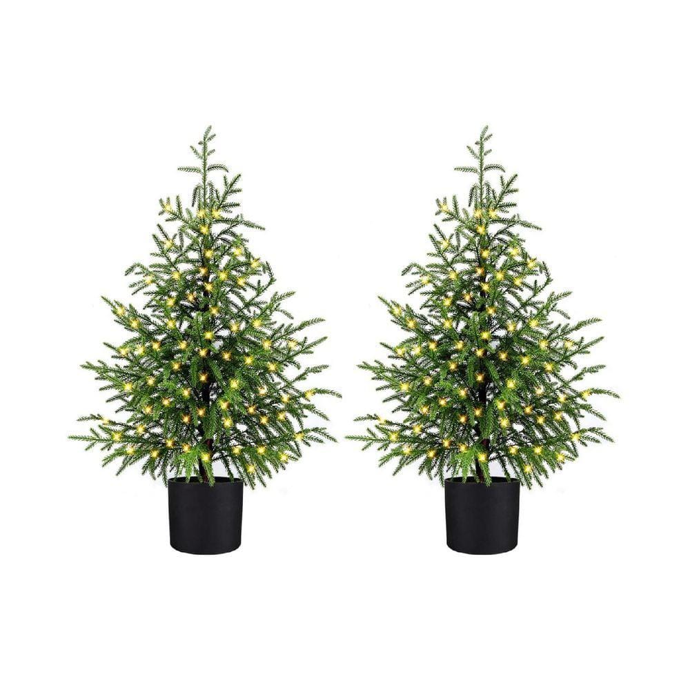 no.305 イソバナ珊瑚とフロストツリー Not even trees are safe from the Florida Legislature | Editorial ピアス