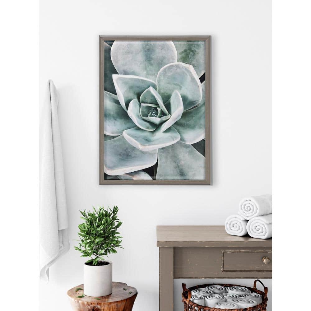 Gray Framed Botanical Succulent Plants Canvas Set