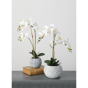 24.5" Artificial Potted White Orchid