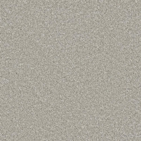 Lifeproof Hazelton III - Appeal - White 60 oz. Polyester Texture Installed Carpet