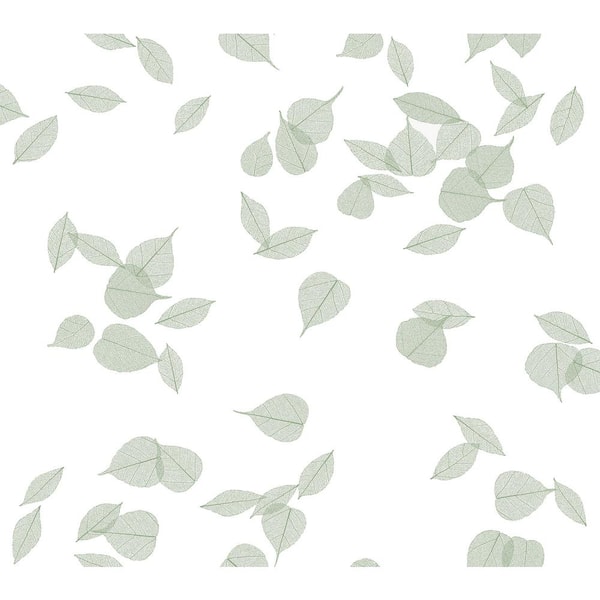 York Wallcoverings Aviva Stanoff Inner Peace Sage Peel and Stick Wallpaper