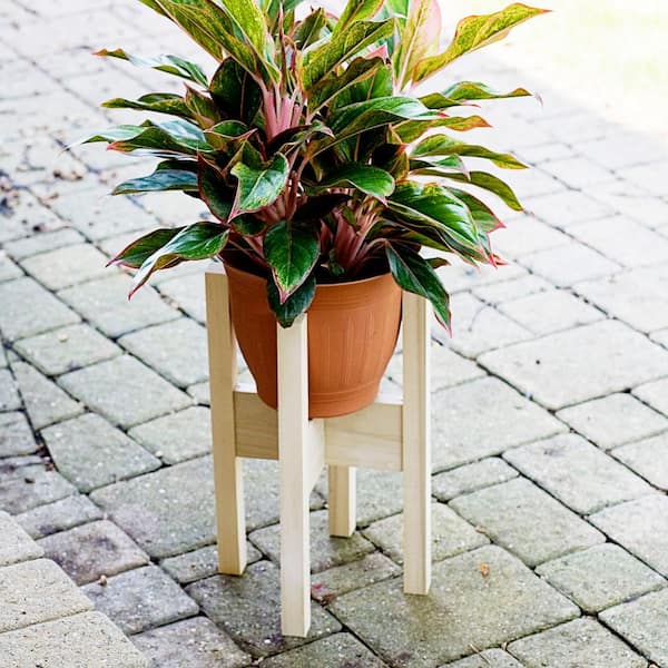 Pine Square Dowel - 36 in. x 1.75 in. - Sanded and Ready for Finishing - Versatile Wooden Rod for DIY Home Projects