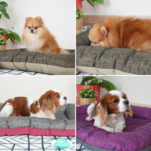 Sussexhome Purple Waterproof Dog Pillow for Medium Dogs - Tear-resistant Washable Dog Bed