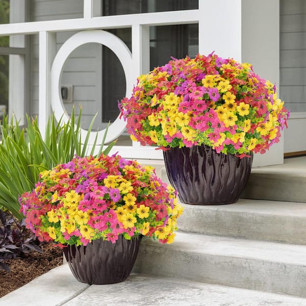 Afoxsos 5.00 in. Mixed Color Artificial Flowers for Outdoor