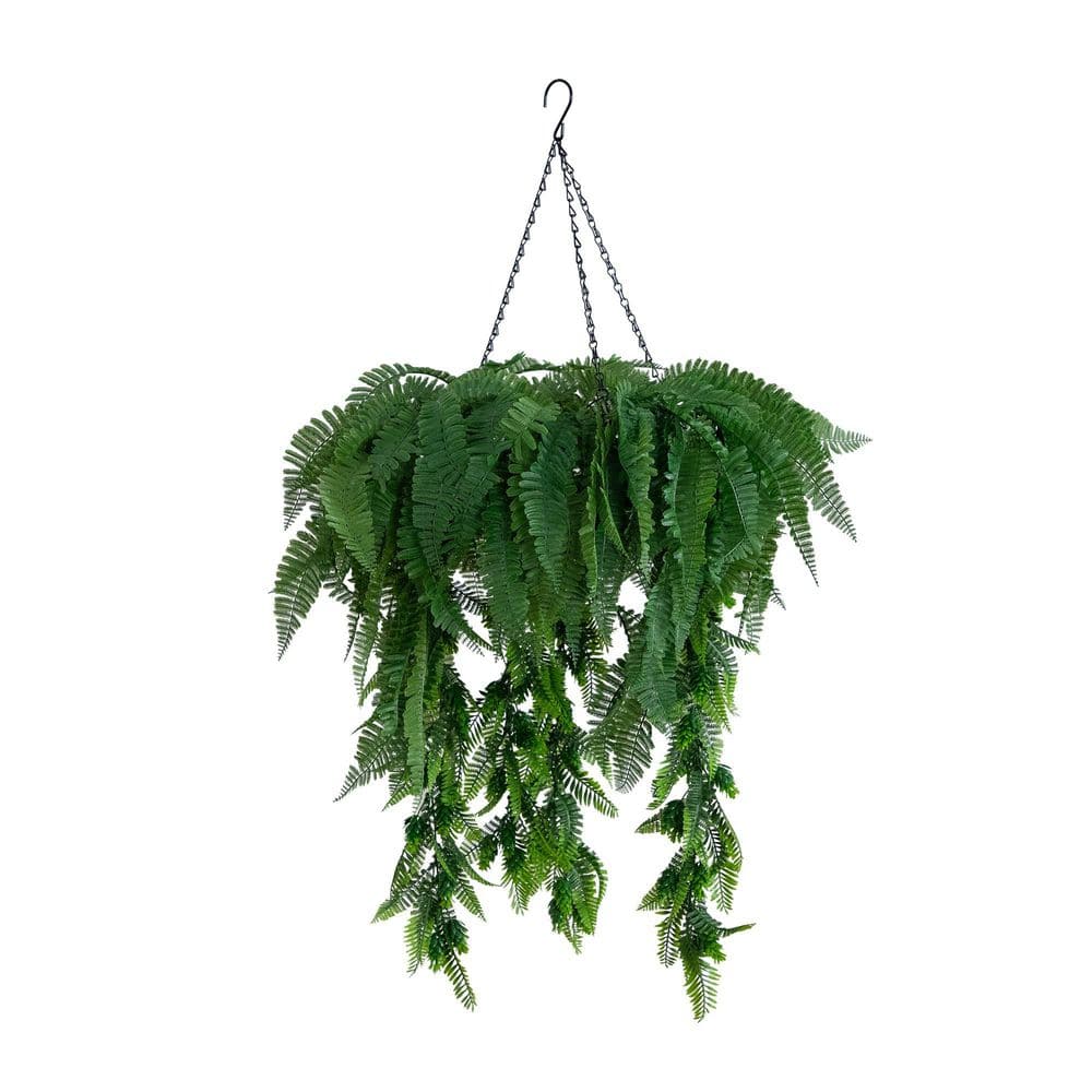 22 in. UV Resistant Artificial Mixed Ferns Plant in Hanging Ring (Indoor/Outdoor) price history on PriceWatchPro