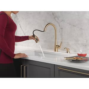 Greydon Single Handle Pull-Down Sprayer Kitchen Faucet with Shield Spray and Soap Dispenser in Champagne Bronze