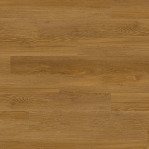 Polished Pro Honey Harmony 20 MIL x 6 in. W x 48 in. L Glue Down Waterproof Luxury Vinyl Flooring (2520 sq. ft./pallet)