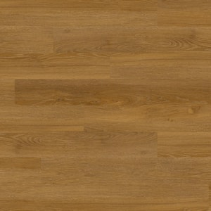 Honey Harmony 8 MIL x 6 in. W x 48 in. L Glue Down Water-Resistant Luxury Vinyl Plank Flooring (3120 sq. ft./pallet)