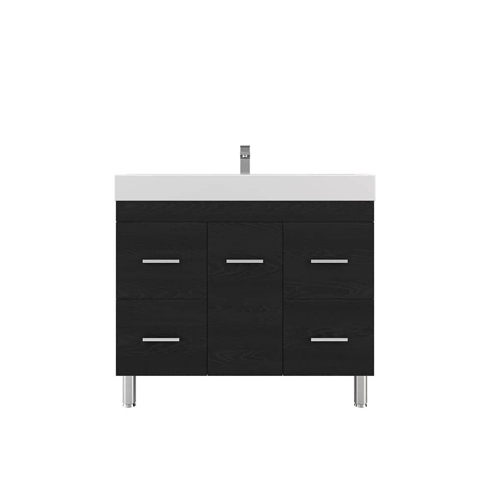 Ripley 39 in. W x 19 in. D x 36 in. H Vanity in Black with Acrylic