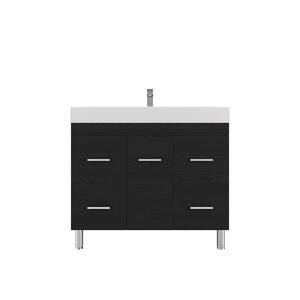 Ripley 39 In. W X 19 In. D X 36 In. H Vanity In Black With Acrylic ...