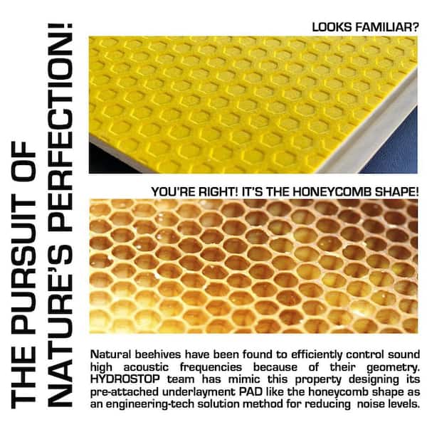 Golden Honeycomb Vinyl - 20