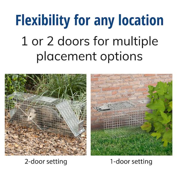 Havahart Large 2-Door Professional Humane Catch-and-Release Live Animal  Cage Trap for Raccoon, Opossum, Groundhog, and Armadillo 1045 - The Home  Depot