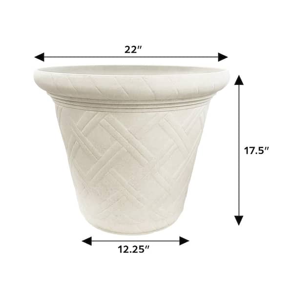 hanging planter amazon Loop Hanging Planter Rose